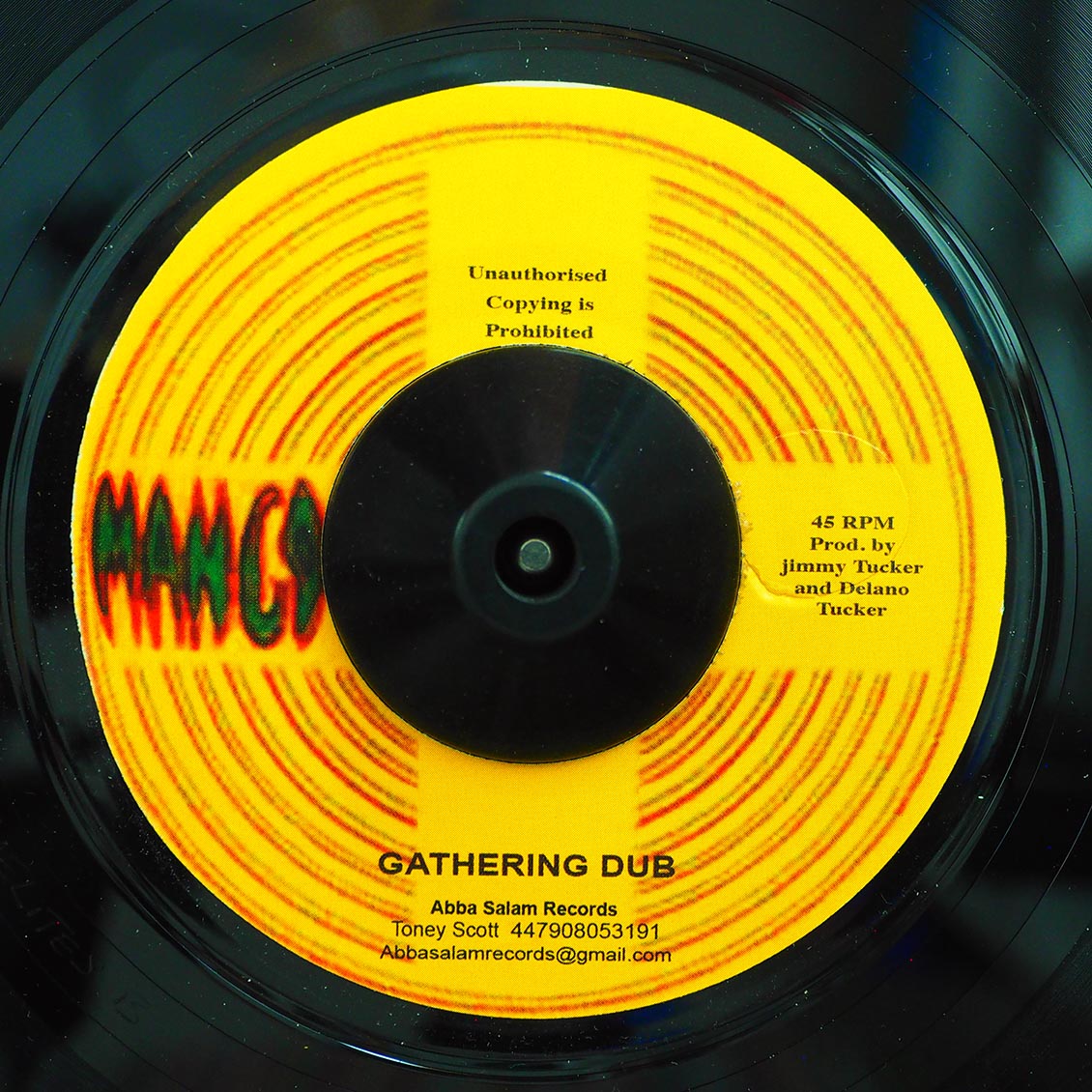 Delano Tucker - Gather Israelites  /  Gathering Dub