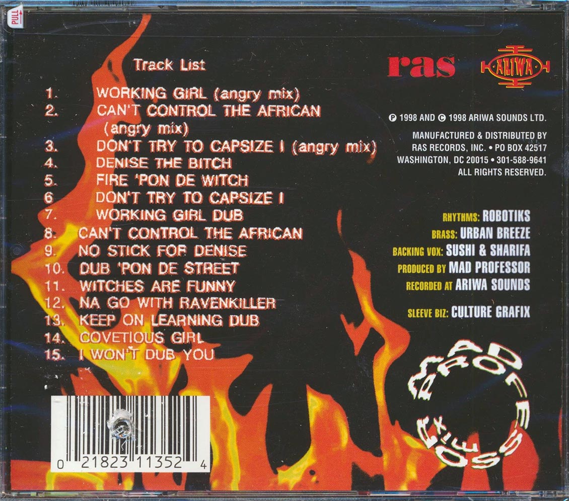 Lee Perry, Mad Professor - Fire In Dub (marked/ltd stock)