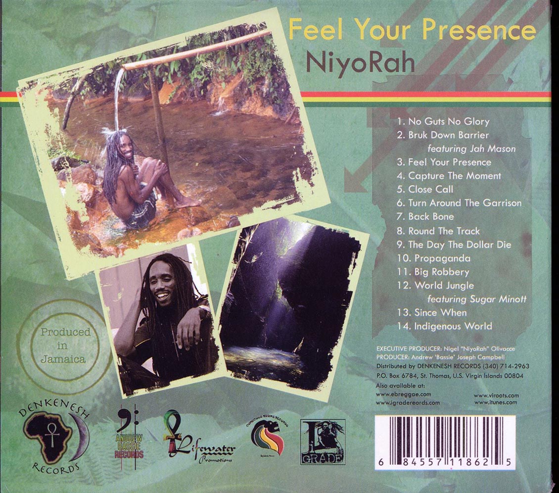 Niyorah - Feel Your Presence