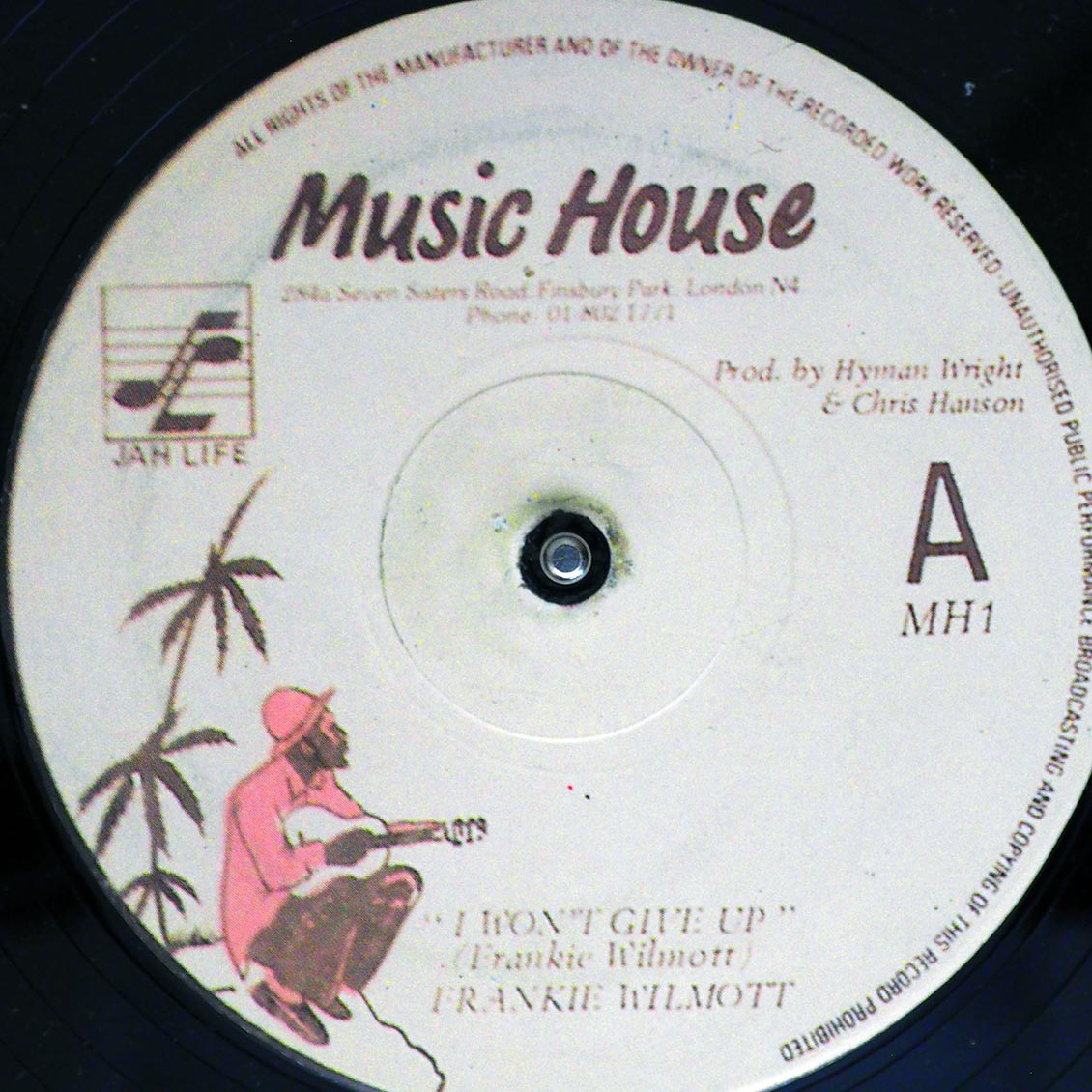 Frankie Wilmott - I Won't Give Up  /  Version