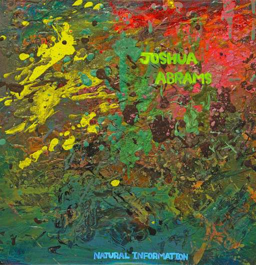 ABRAMS,JOSHUA - NATURAL INFORMATION (IMPORT)