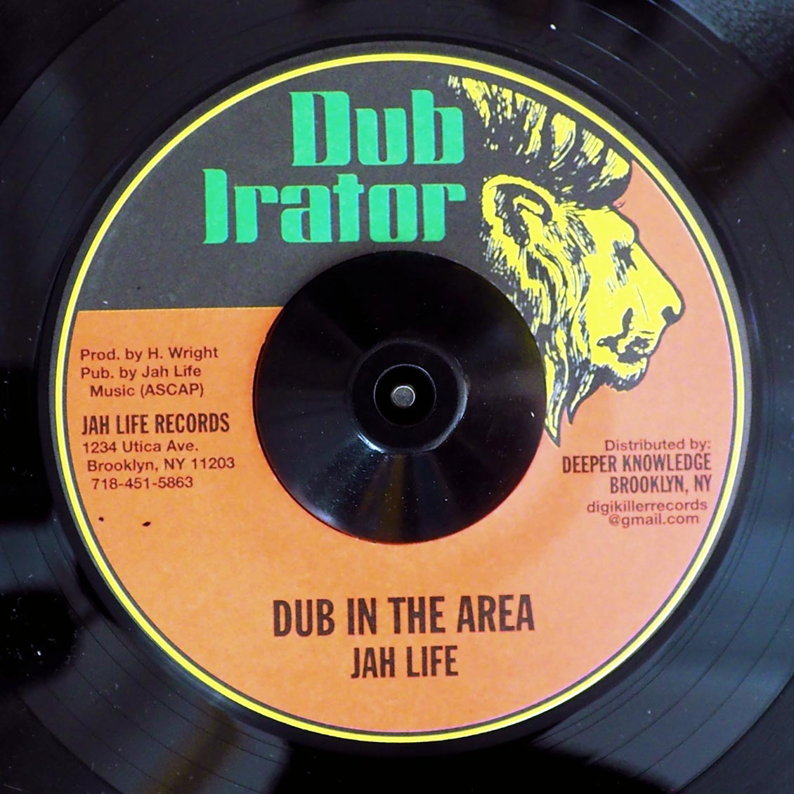 Scion Success - Profile  /  Jah Life - Dub In The Area (rhythm: "Chanting")