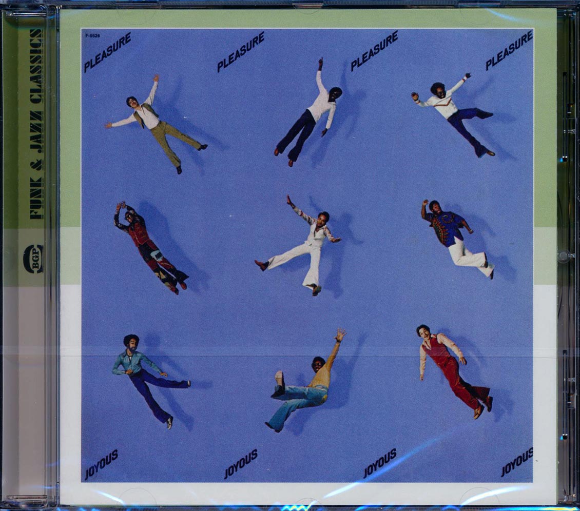 Pleasure - Joyous