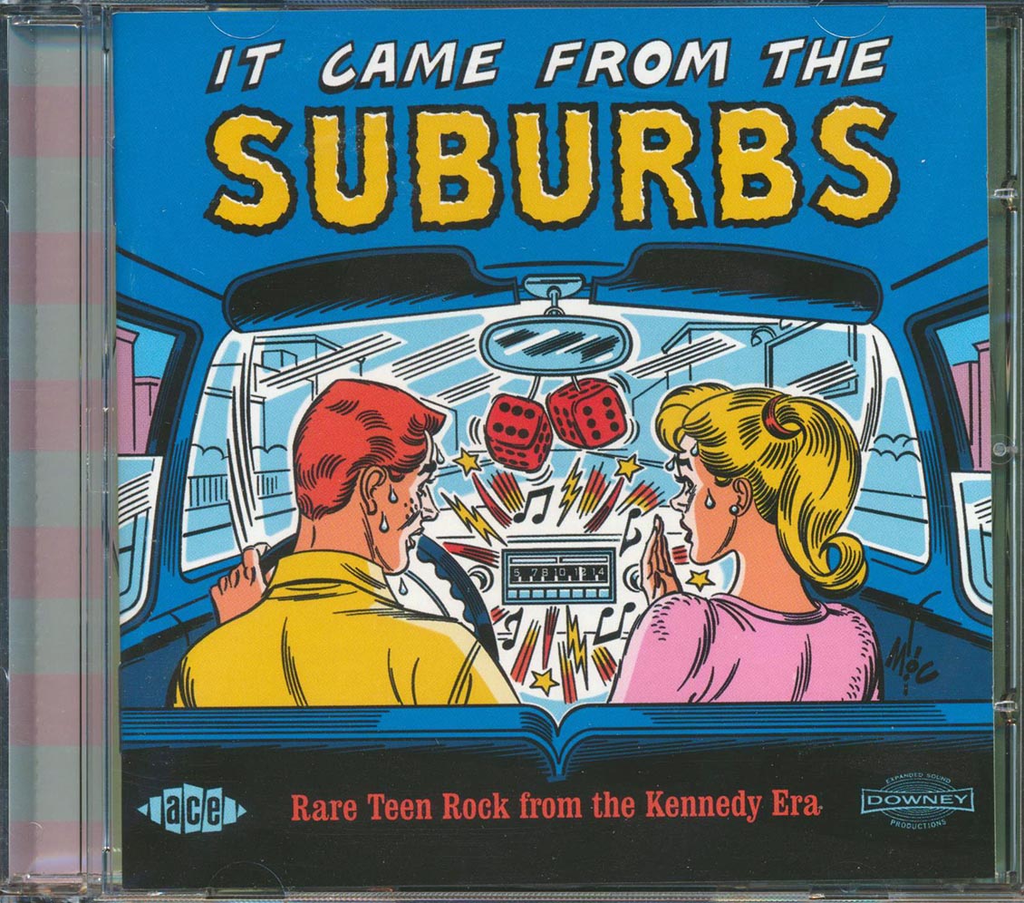 Various - It Came From The Suburbs: Rare Teen Rock From The Kennedy Era (27 tracks)