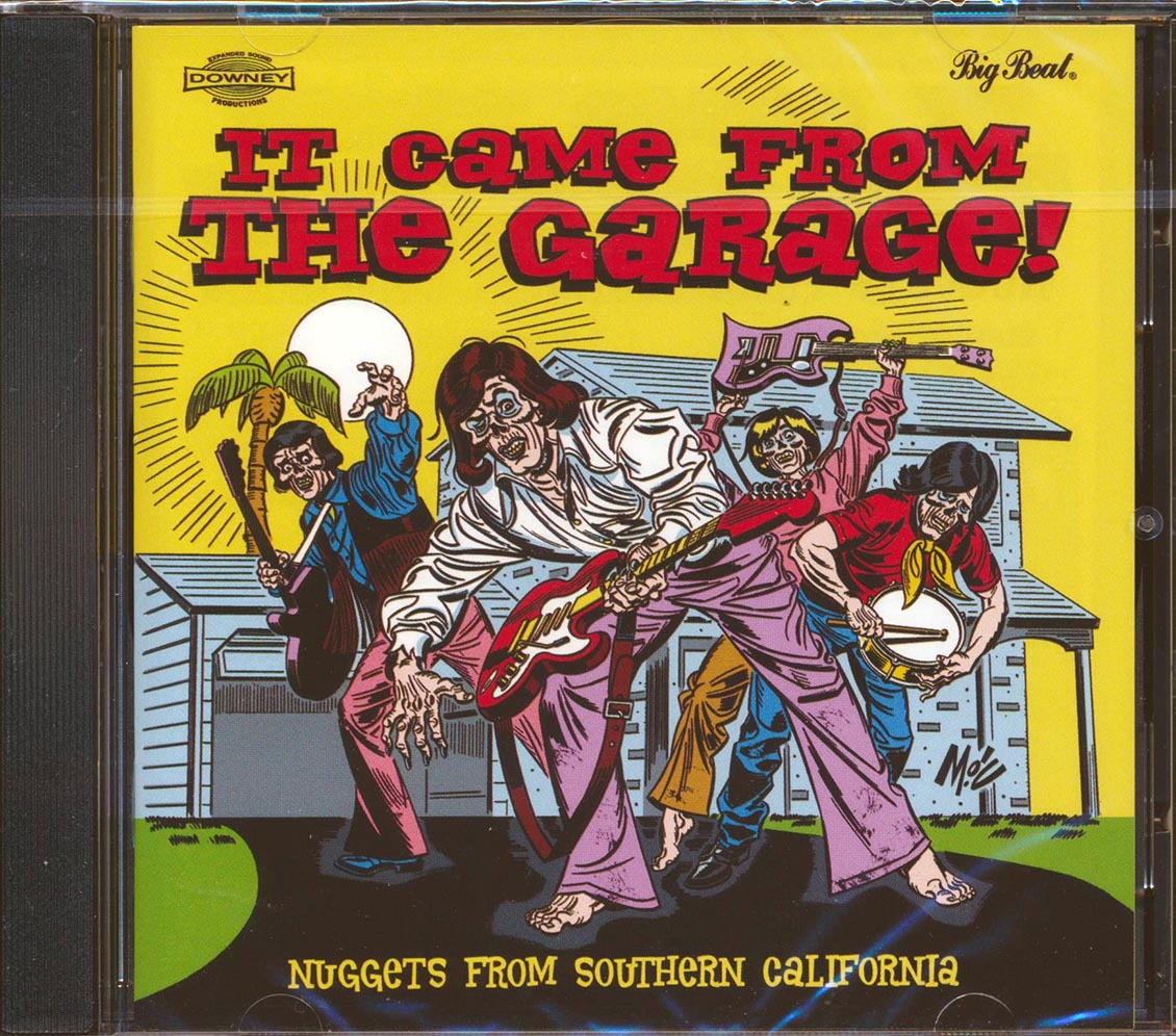 Various - It Came From The Garage: Nuggets From Southern California (24 tracks)