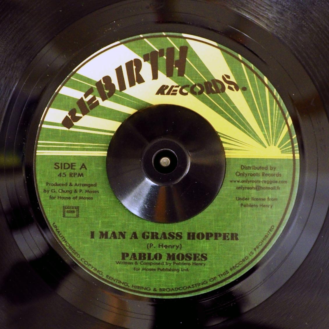 Pablo Moses - I Man A Grass Hopper  /  Version