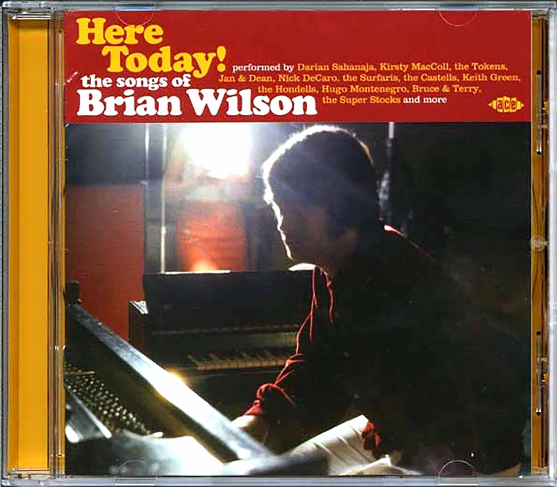 Various - Here Today! The Songs Of Brian Wilson (25 tracks)