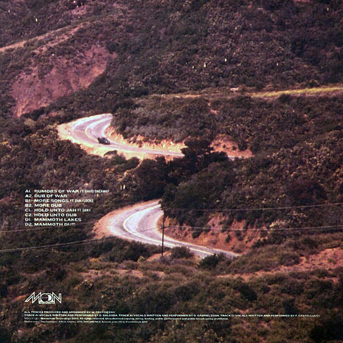 Violinbwoy - Mono County (2xLP)