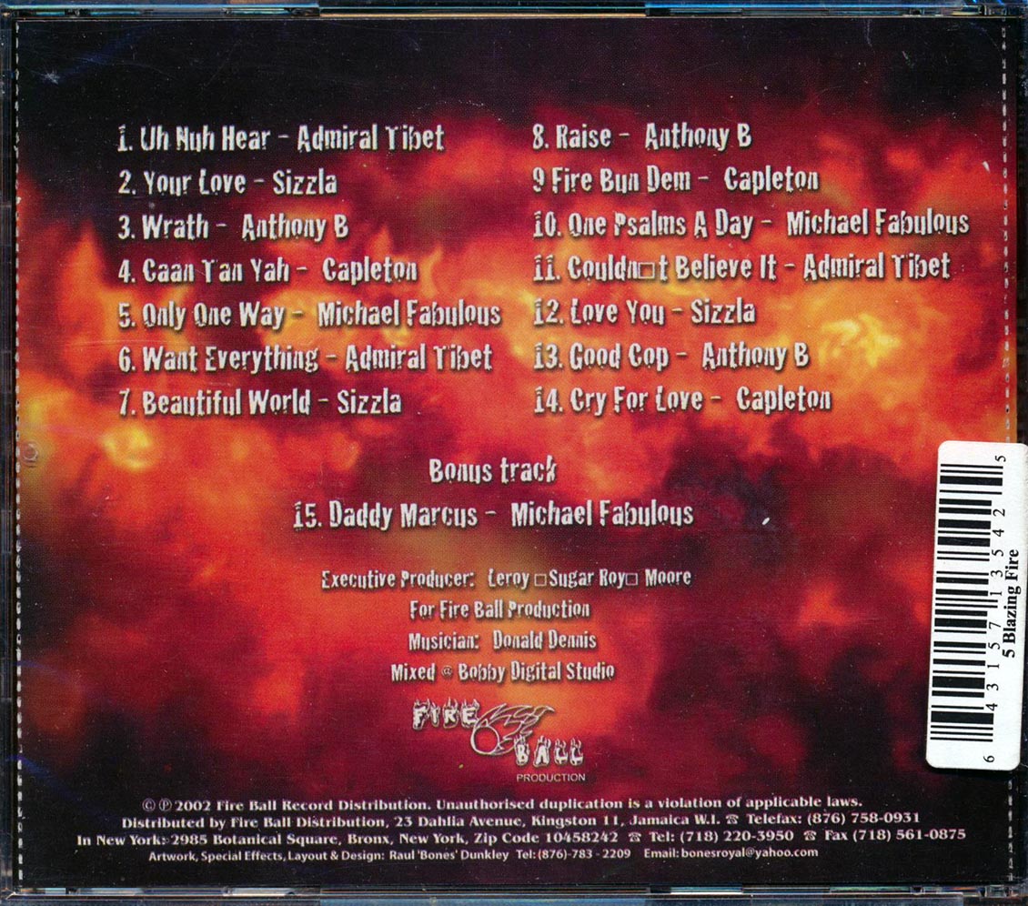 Sizzla, Capleton, Anthony B, etc. - 5 Blazing Fire