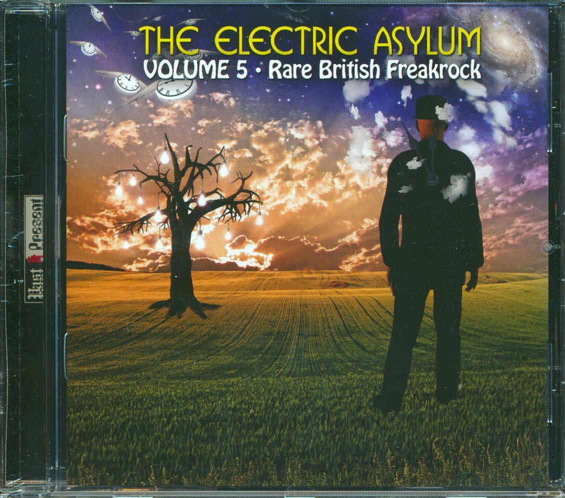 Biggles, Matchbox, Squeek, Boston Boppers, Etc. - The Electric Asylum Volume 5: Rare British Freakrock