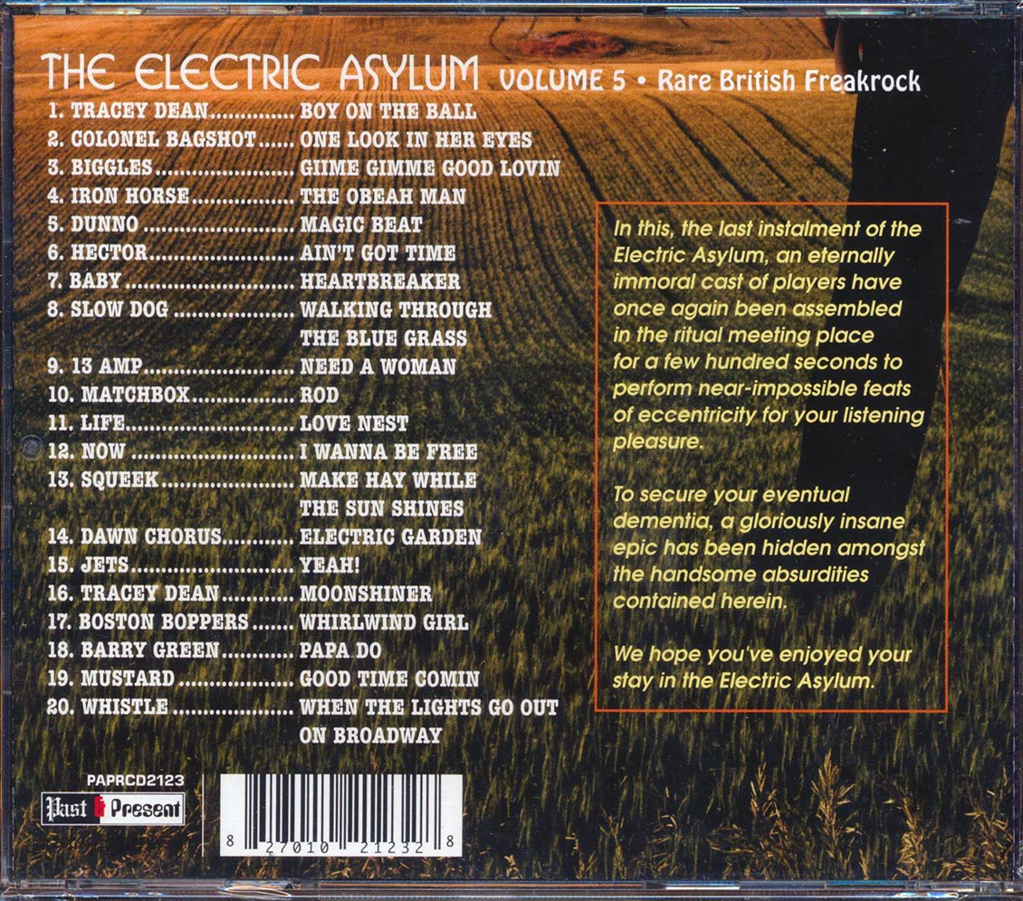 Biggles, Matchbox, Squeek, Boston Boppers, Etc. - The Electric Asylum Volume 5: Rare British Freakrock