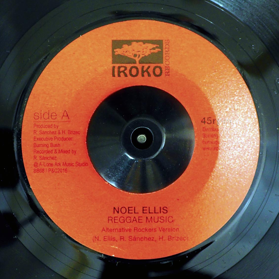 Noel Ellis - Reggae Music  /  Lone Ark Riddim Force - Dub Music