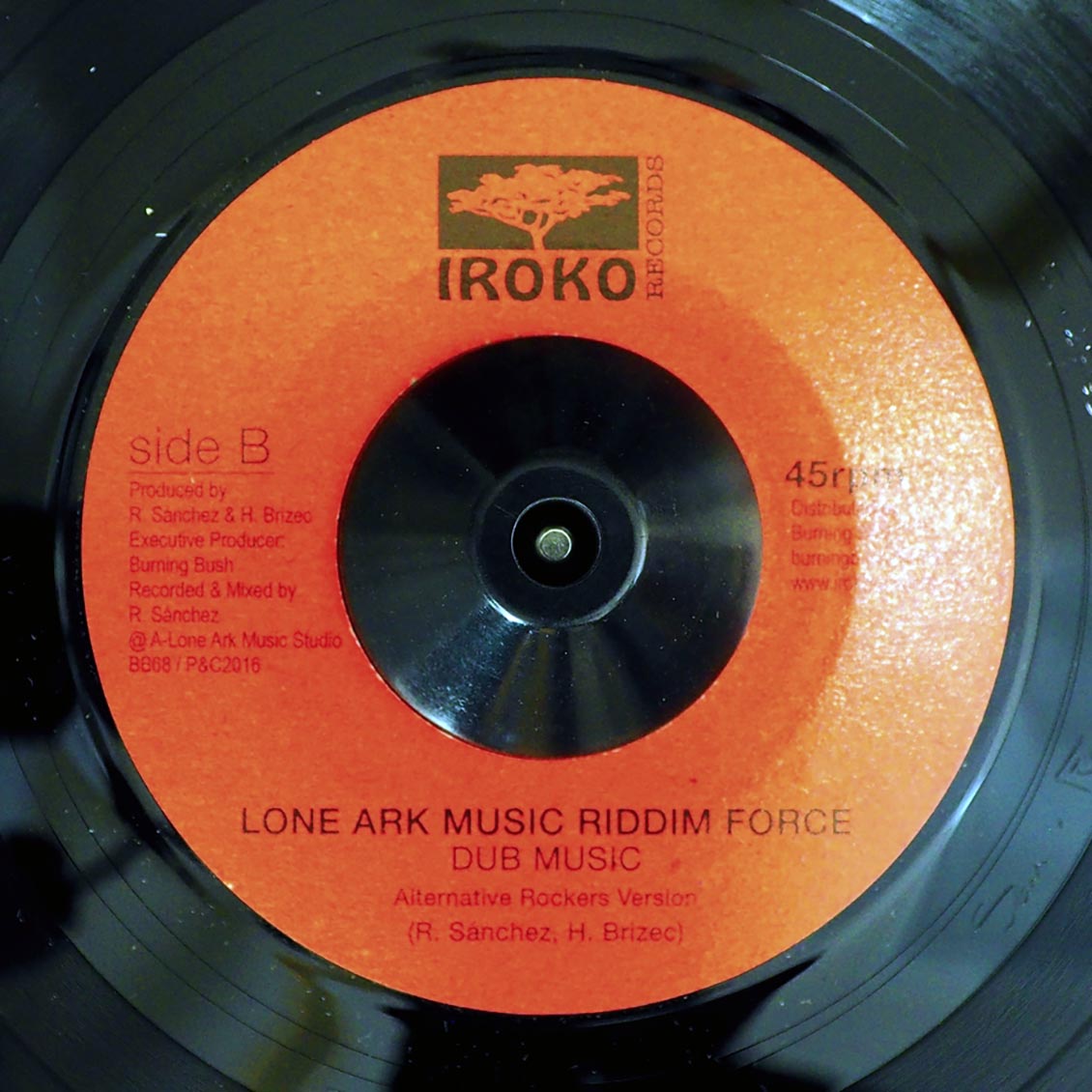 Noel Ellis - Reggae Music  /  Lone Ark Riddim Force - Dub Music