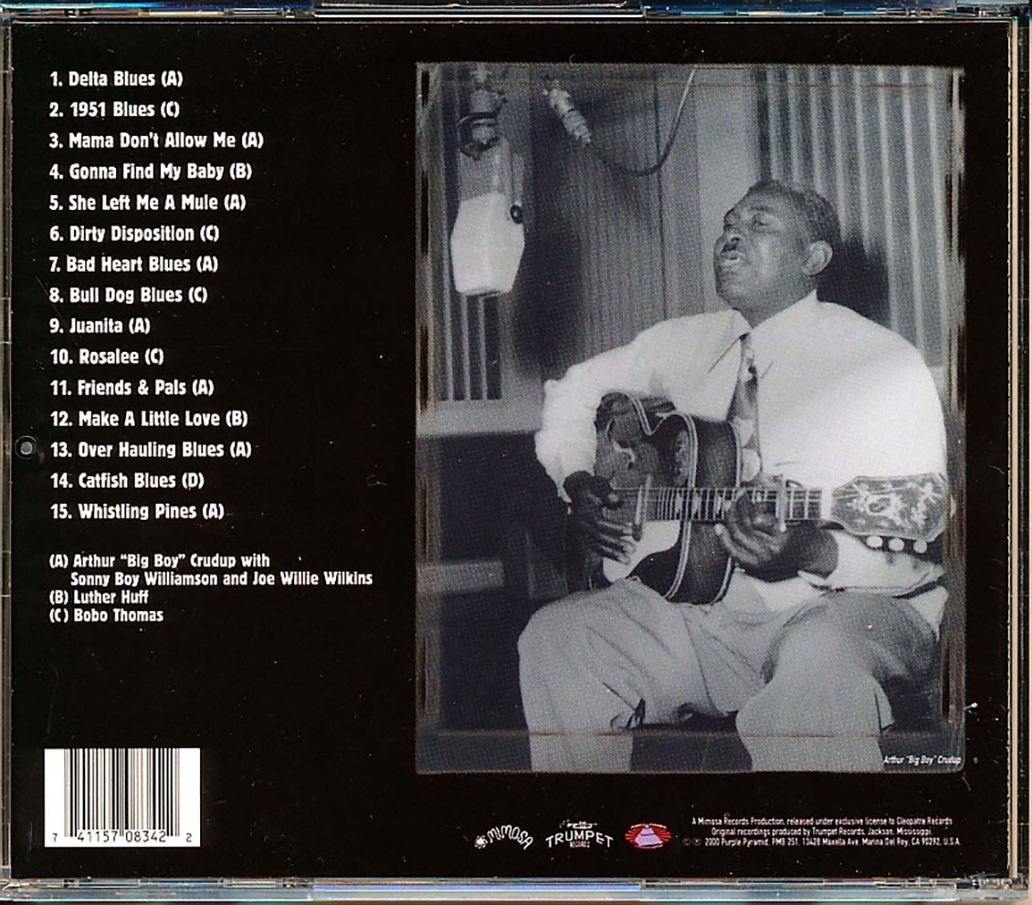Big Joe Williams - Big Joe Williams & Friends
