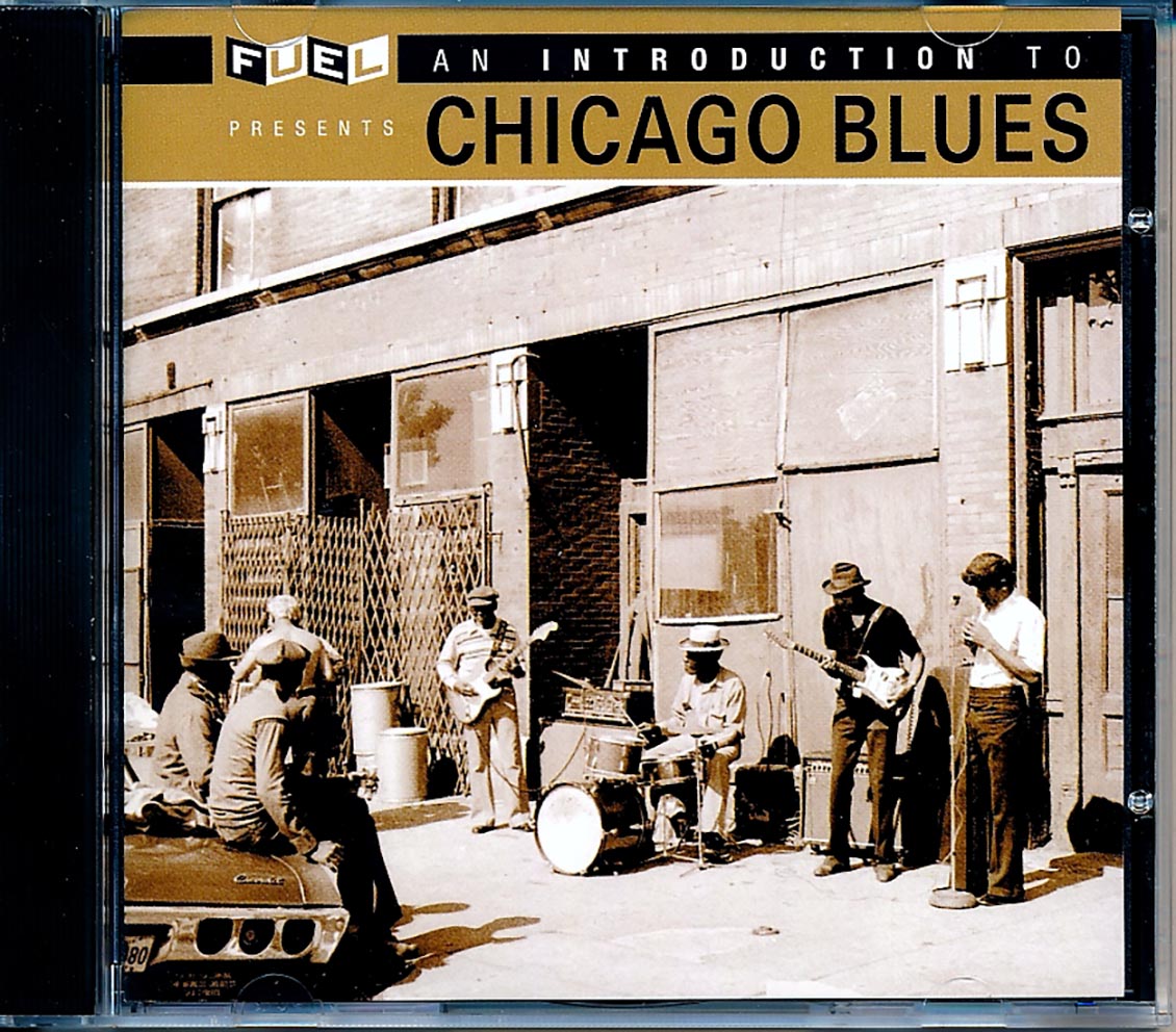 JB Lenoir, Elmore James, Muddy Waters, Big Joe Williams, Etc. - An Introduction To Chicago Blues (remastered) (24-bit mastering)