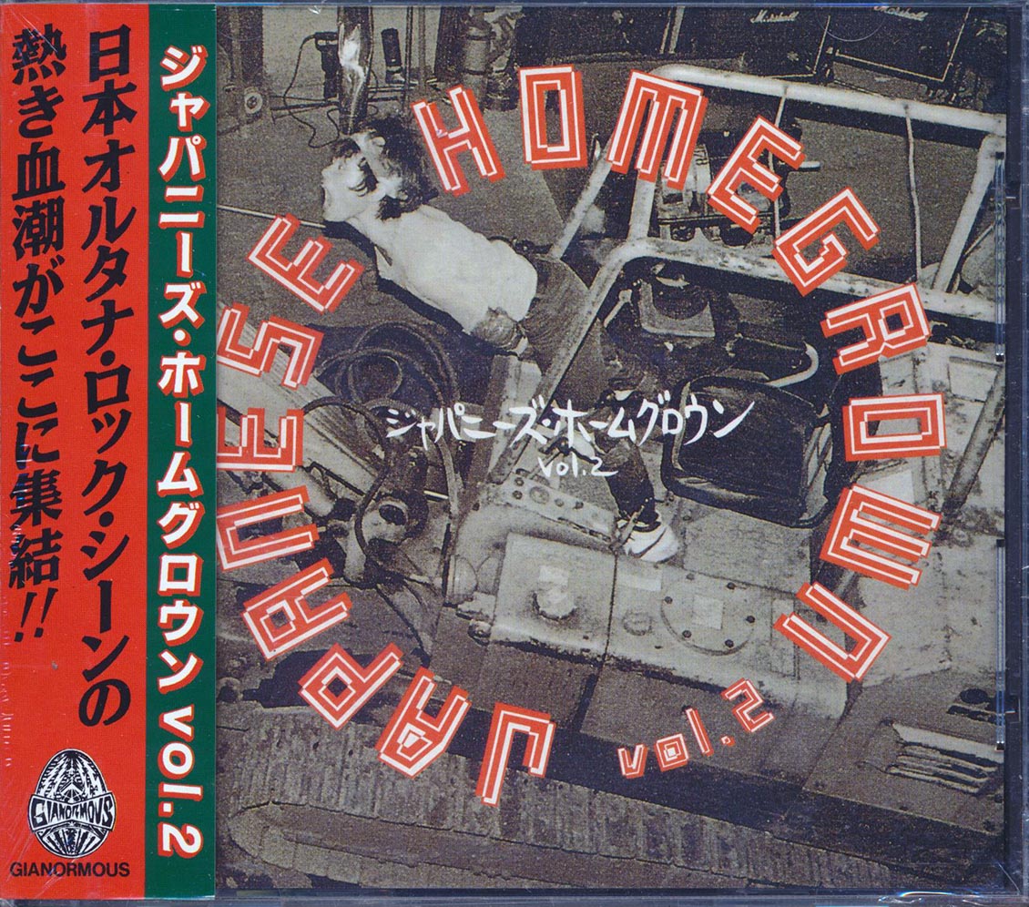 Nunchaku, Noiseramones, Pugs, Jasons, Super Junky Monkey, Etc. - Japanese Homegrown Volume 2 (incl. large booklet)