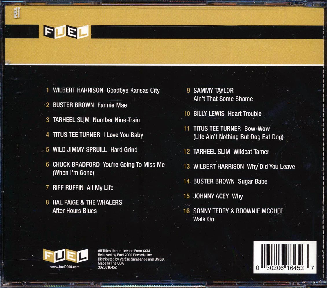 Buster Brown, Billy Lewis, Titus Tee Turner, Etc. - An Introduction To New York Blues