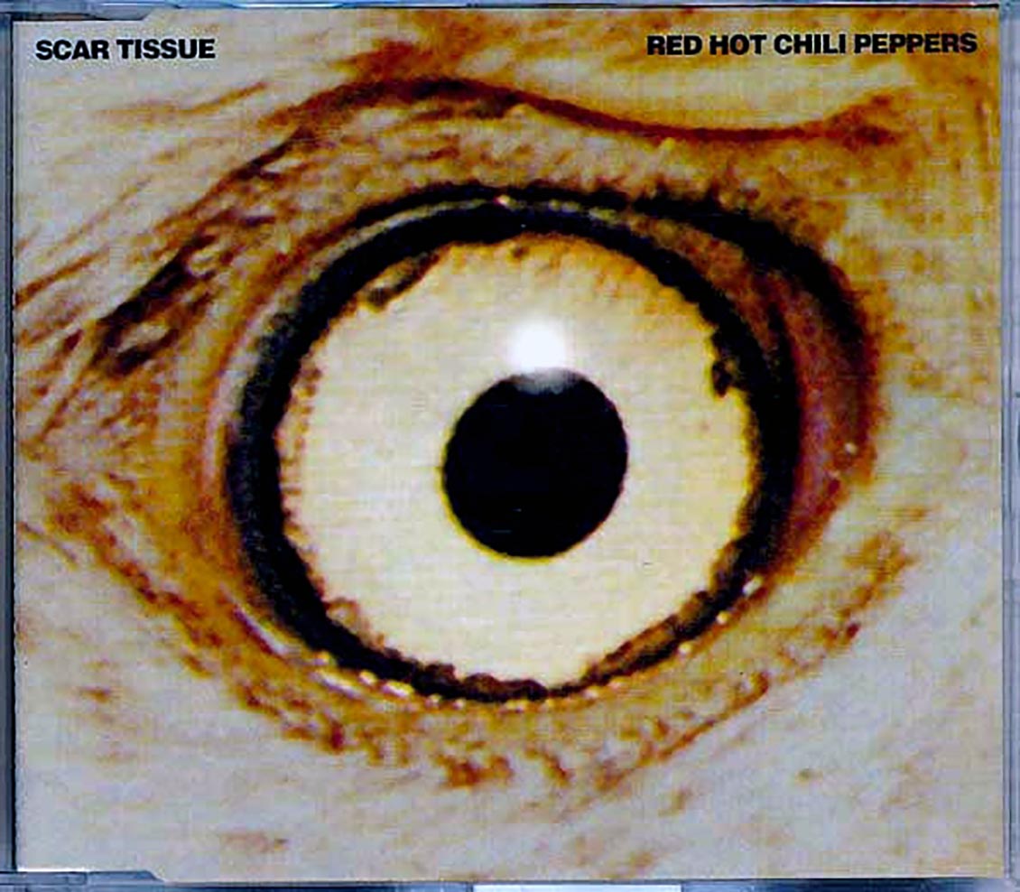 Red Hot Chili Peppers - Scar Tissue