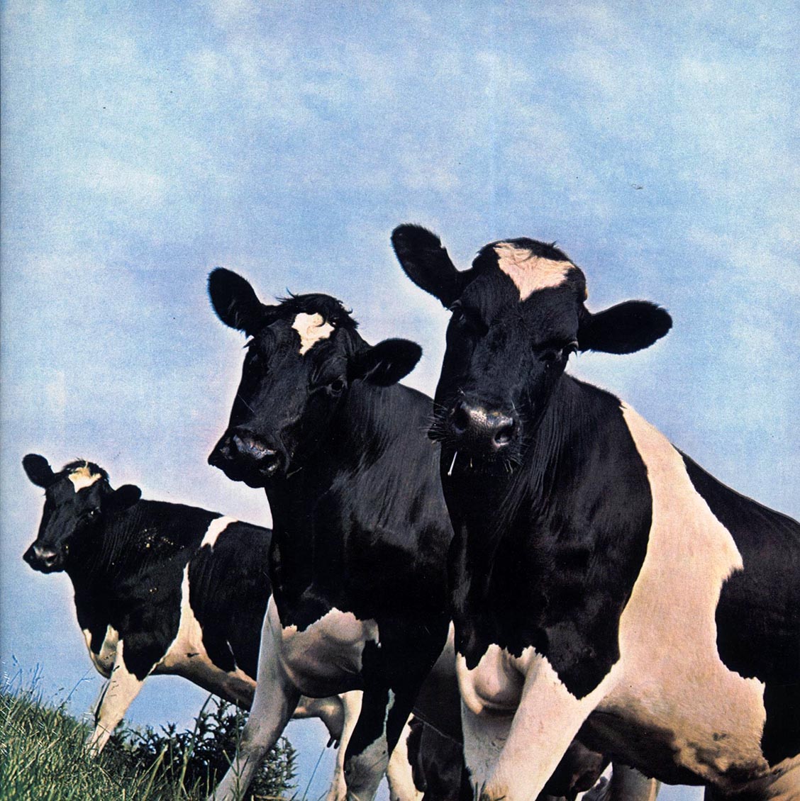 Pink Floyd - Atom Heart Mother (180g) (remastered)
