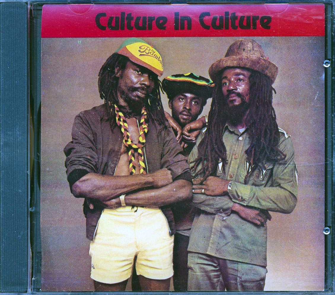Culture - Culture In Culture