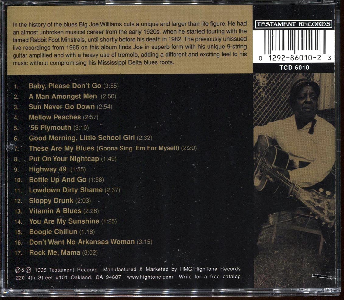 Big Joe Williams - These Are My Blues (marked/ltd stock)