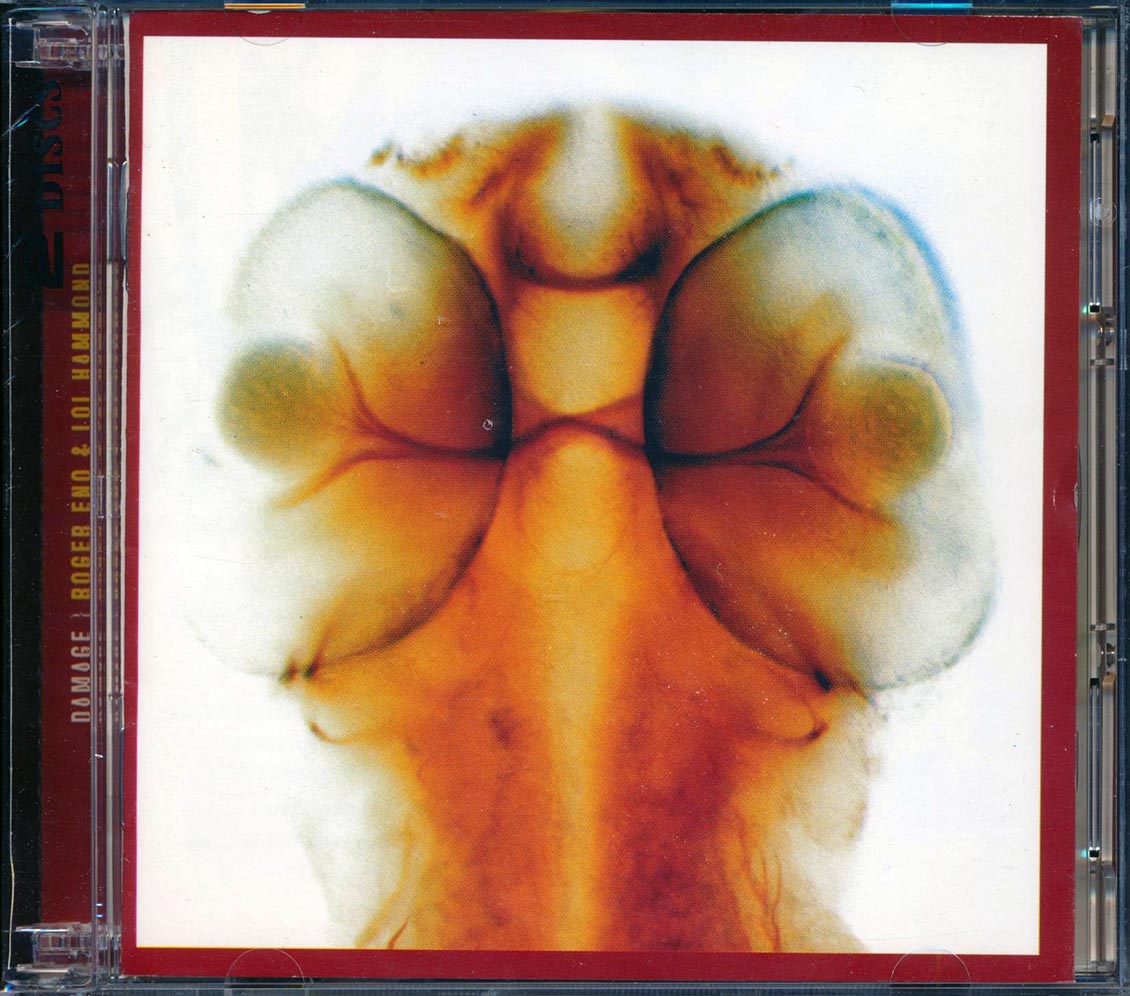 Roger Eno & Lol Hammond - Damage (2xCD)