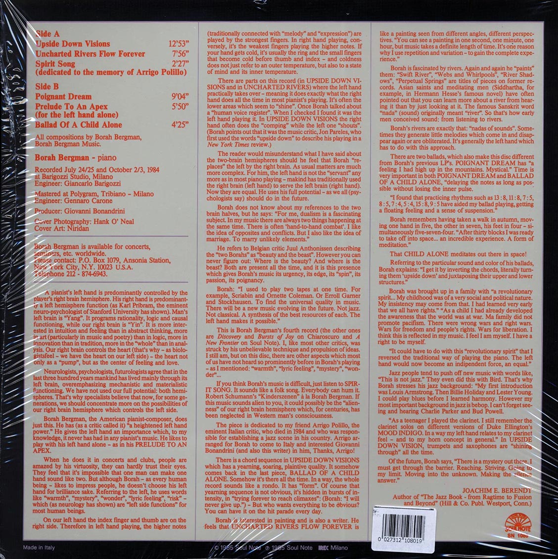 Borah Bergman - Upside Down Visions