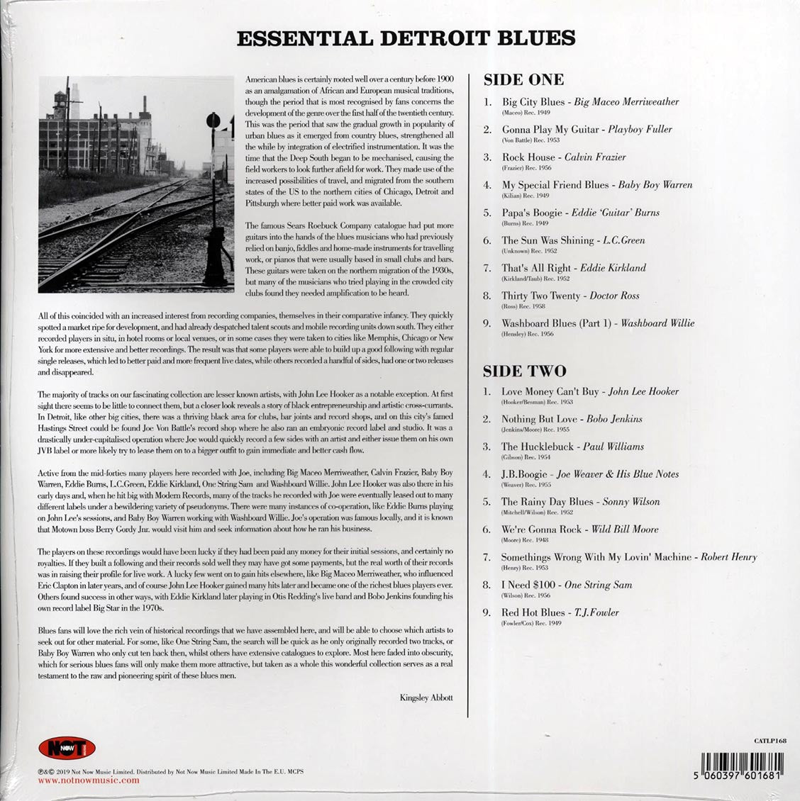 John Lee Hooker, Eddie Guitar Burns, Wild Bill Moore, Etc. - Essential Detroit Blues (180g)