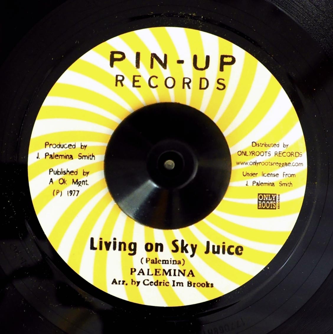 Palemina - Living On Sky Juice  /  Blood Relatives & Friends - Version