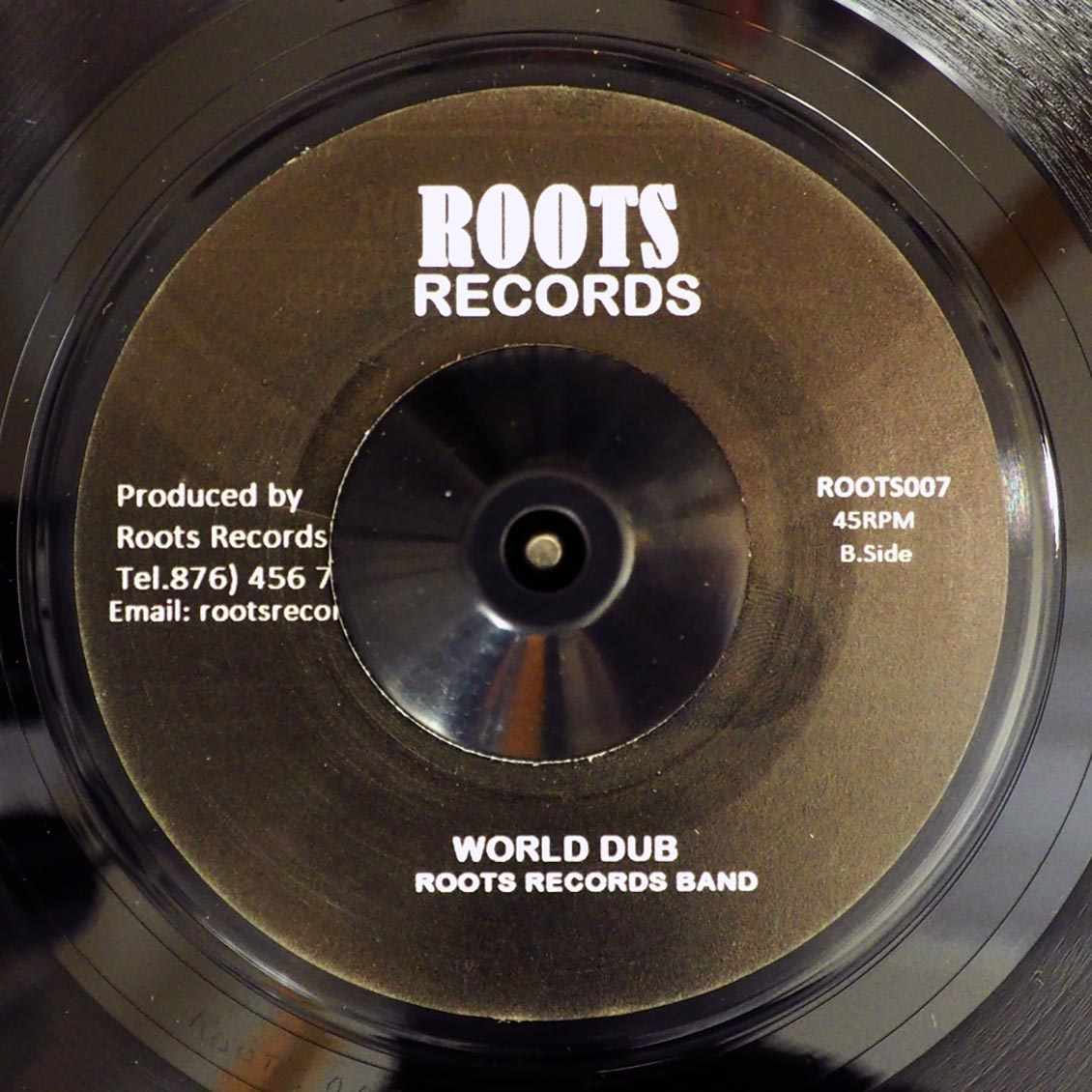 Chronixx - World Under Siege  /  World Dub
