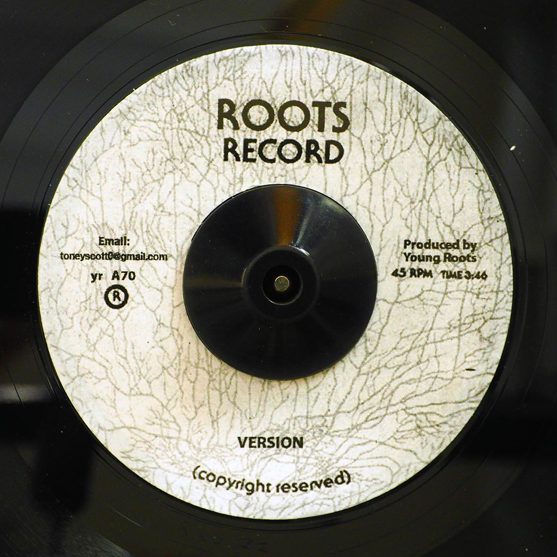 Young Roots - I Believe  /  Version