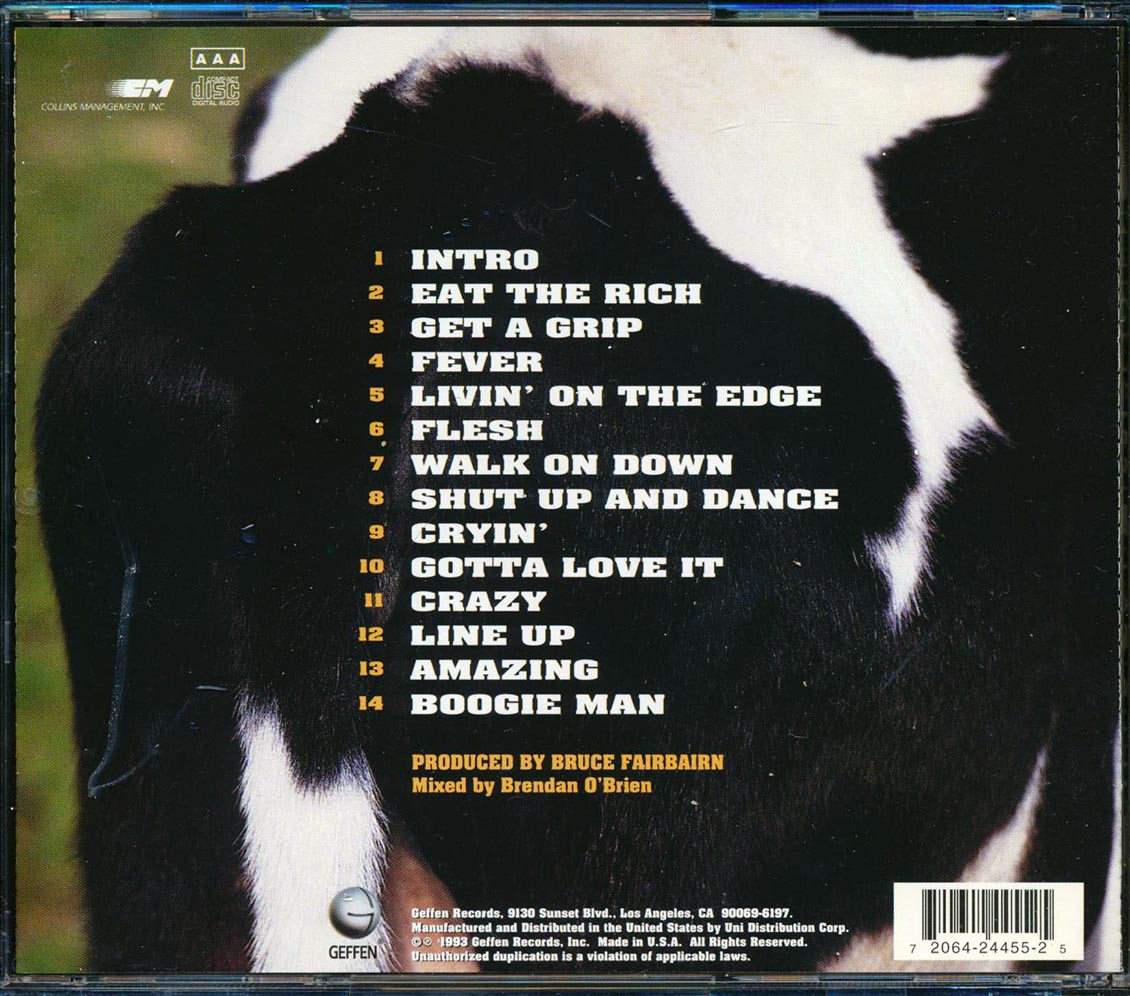 Aerosmith - Get A Grip