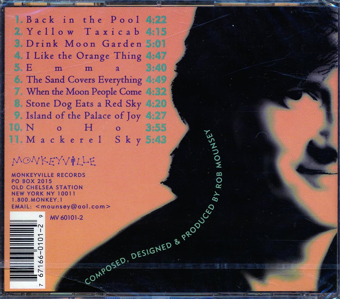 Flying Monkey Orchestra - Back In The Pool