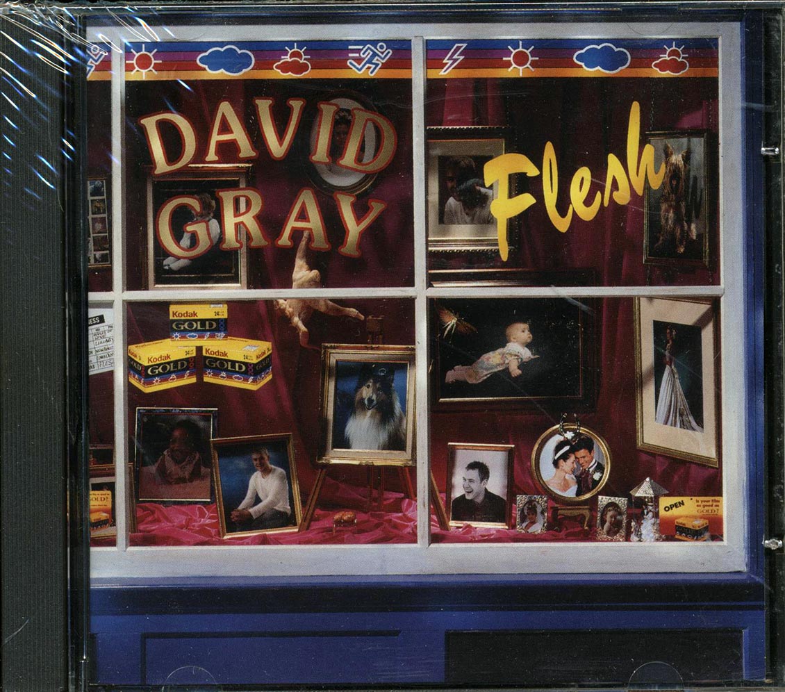 David Gray - Flesh