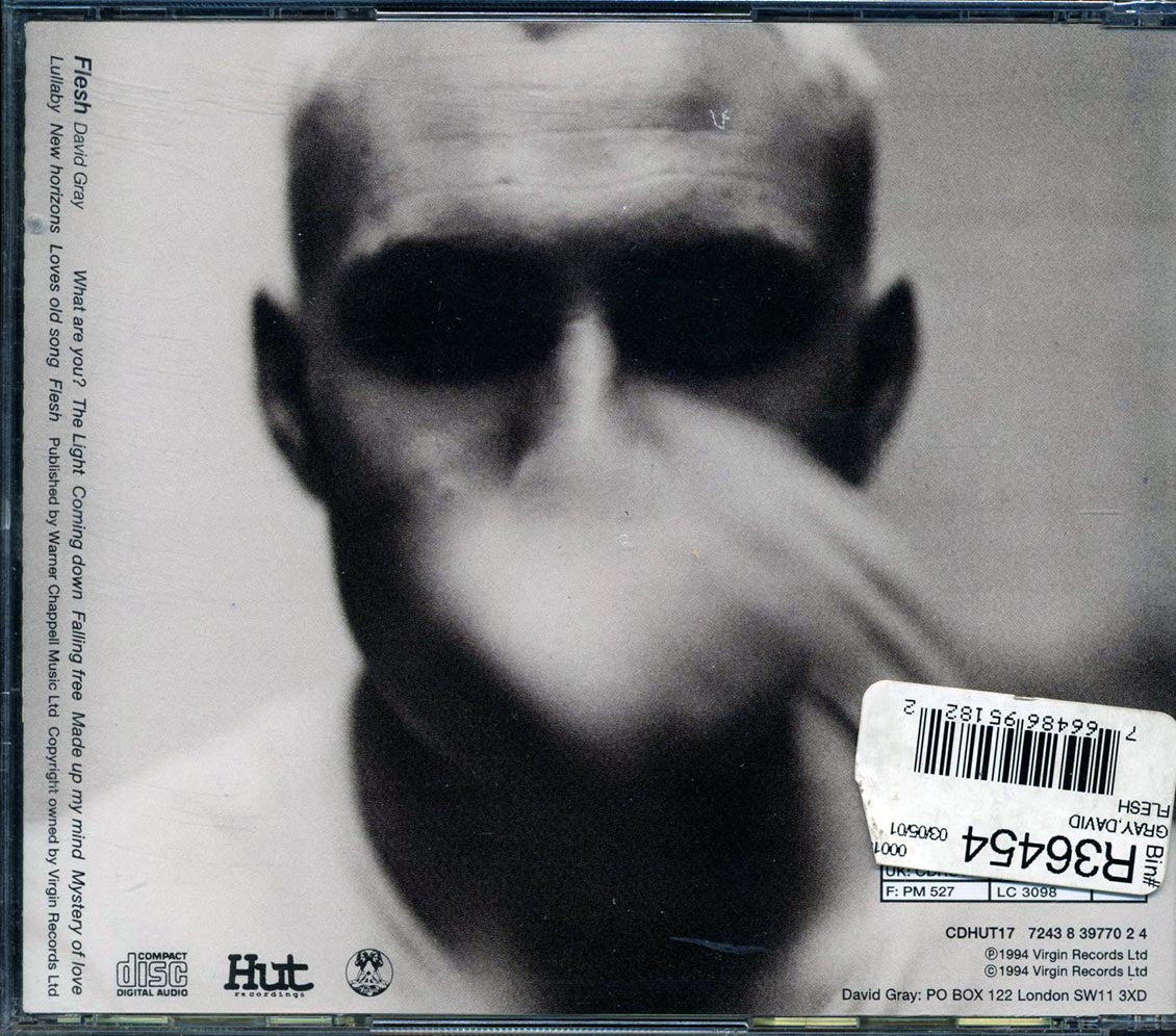 David Gray - Flesh