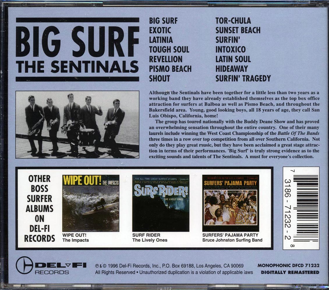 The Sentinals - Big Surf