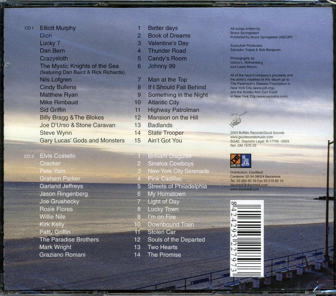 Elliott Murphy, Dion, Lucky 7, Etc. - Light Of Day: A Tribute To Bruce Springsteen (29 tracks) (2xCD)