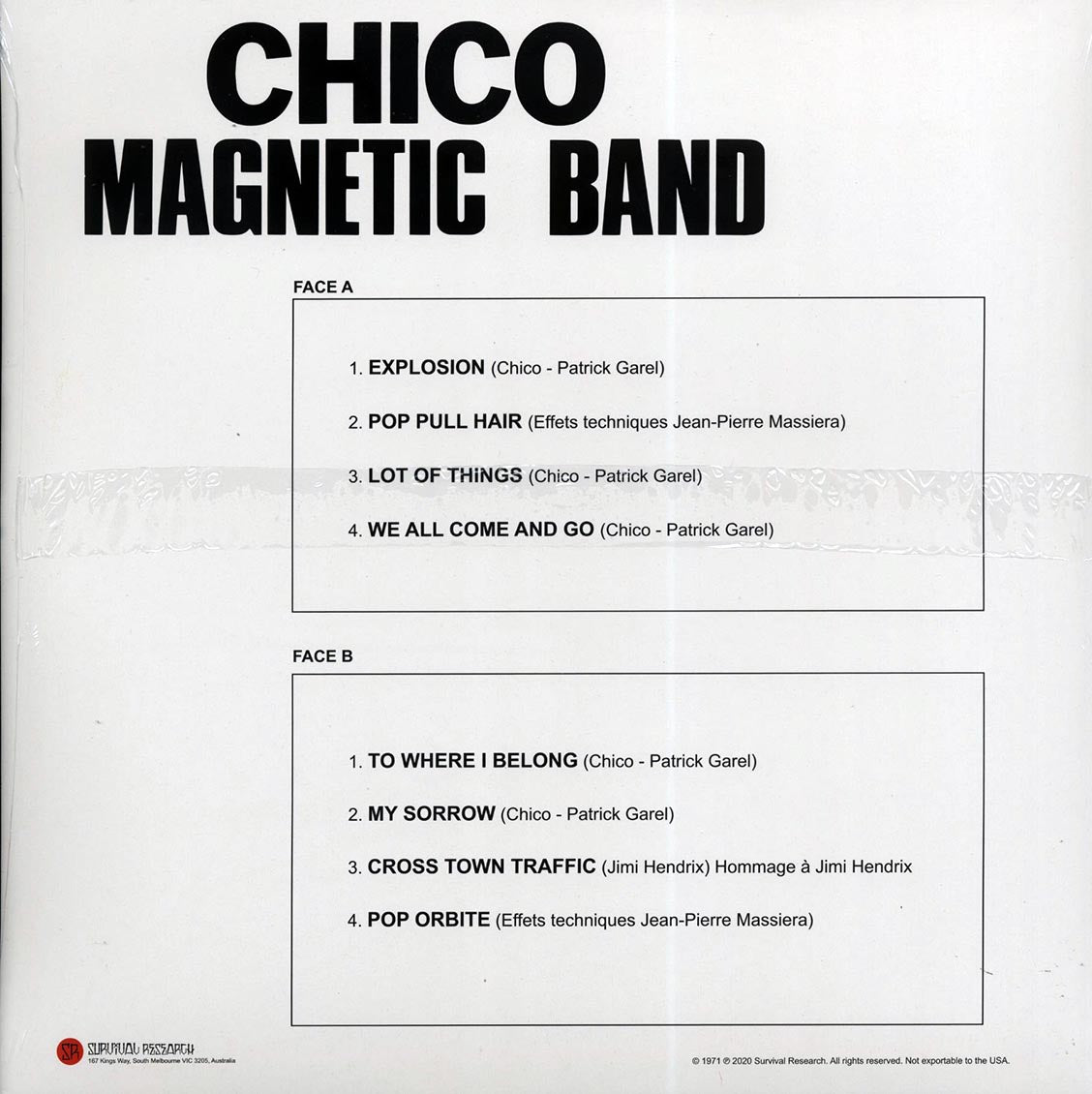 Chico Magnetic Band - Chico Magnetic Band