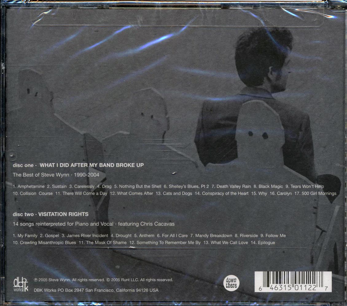 Steve Wynn - What I Did After My Band Broke Up: Best Of 1990-2004: Visitation Rights