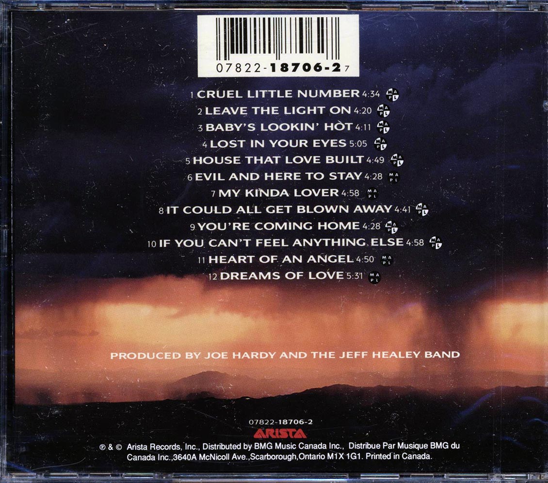 The Jeff Healey Band - Feel This