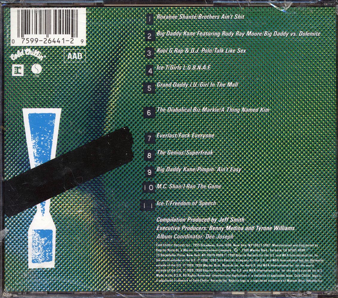 Big Daddy Kane, Ice T, Everlast, Etc. - 2 Nasty 4 Radio