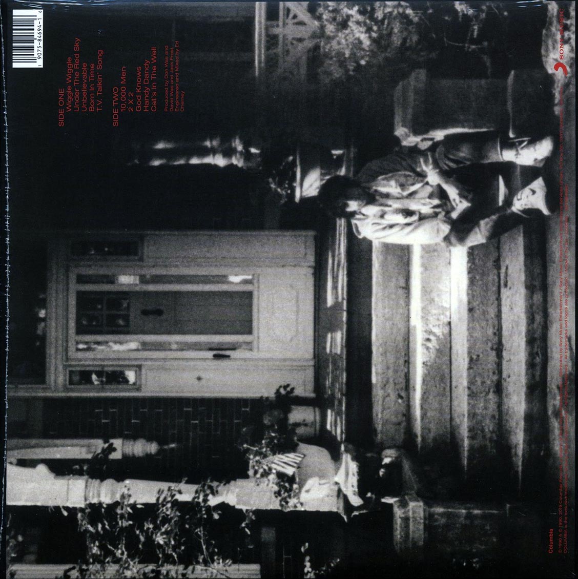 Bob Dylan - Under The Red Sky (incl. mp3)