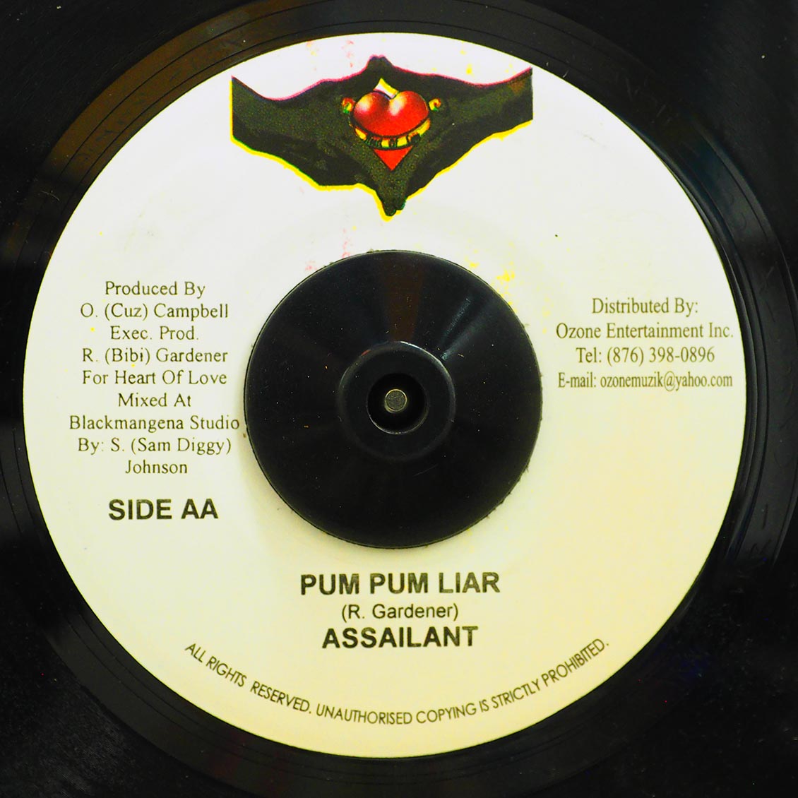 Vybz Kartel - Push It Push It On Me  /  Assailant - Pum Pum Liar (rhythm: "Gangsta Sitt'n")