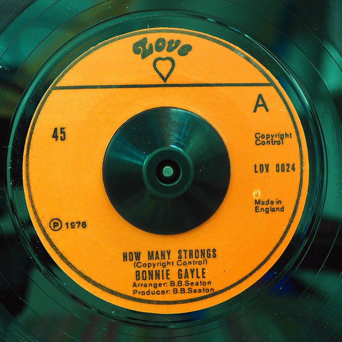 Bonnie Gayle - How Many Strongs  /  Version