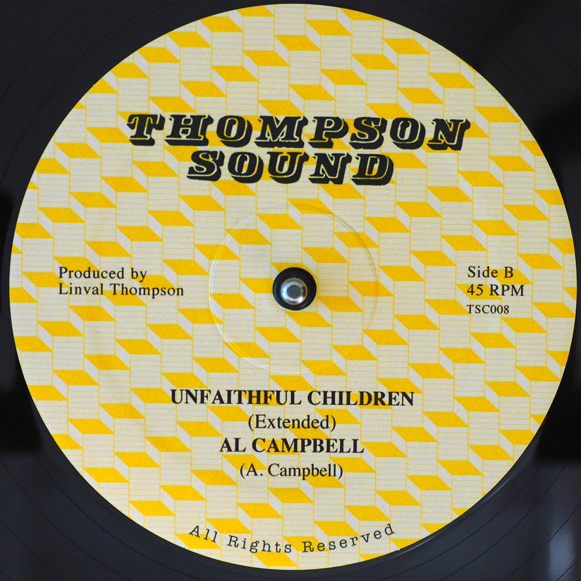 Freddie McKay, The Roots Radics  - Guide Us Jah Jah (extended Mix)  /  Al Campbell, The Roots Radics - Unfaithful Children (Extended Mix)