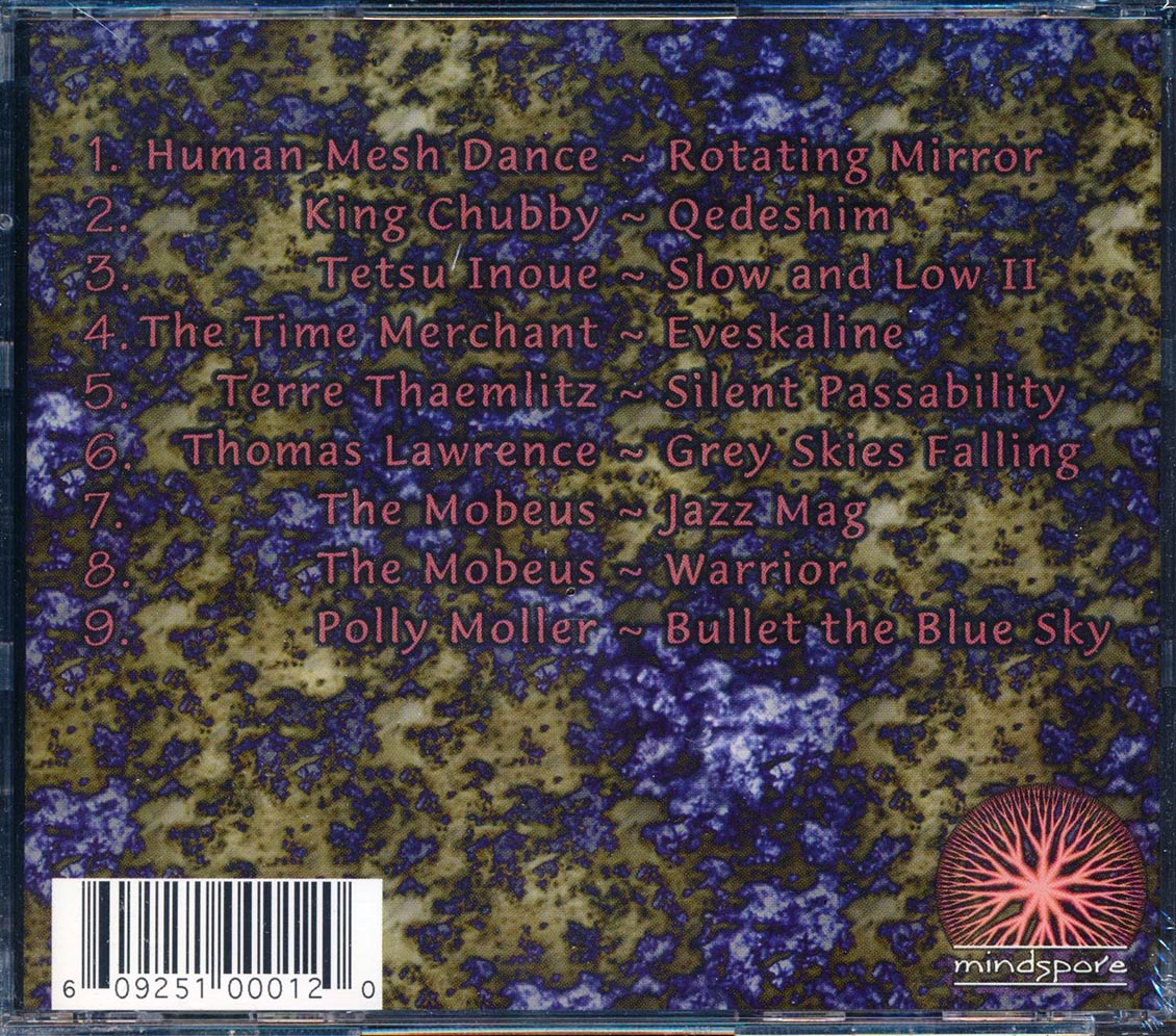The Mobeus, King Chubby, The Time Merchant, Etc. - Distributed Shared Memory