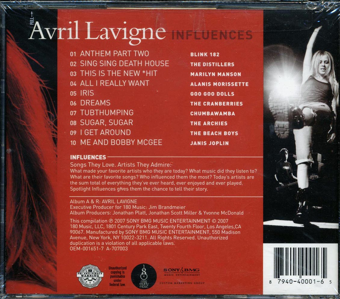 The Cranberries, Marilyn Manson, Blink 182, Etc. - Influences: The Cranberries, Marilyn Manson, Blink 182, Etc.