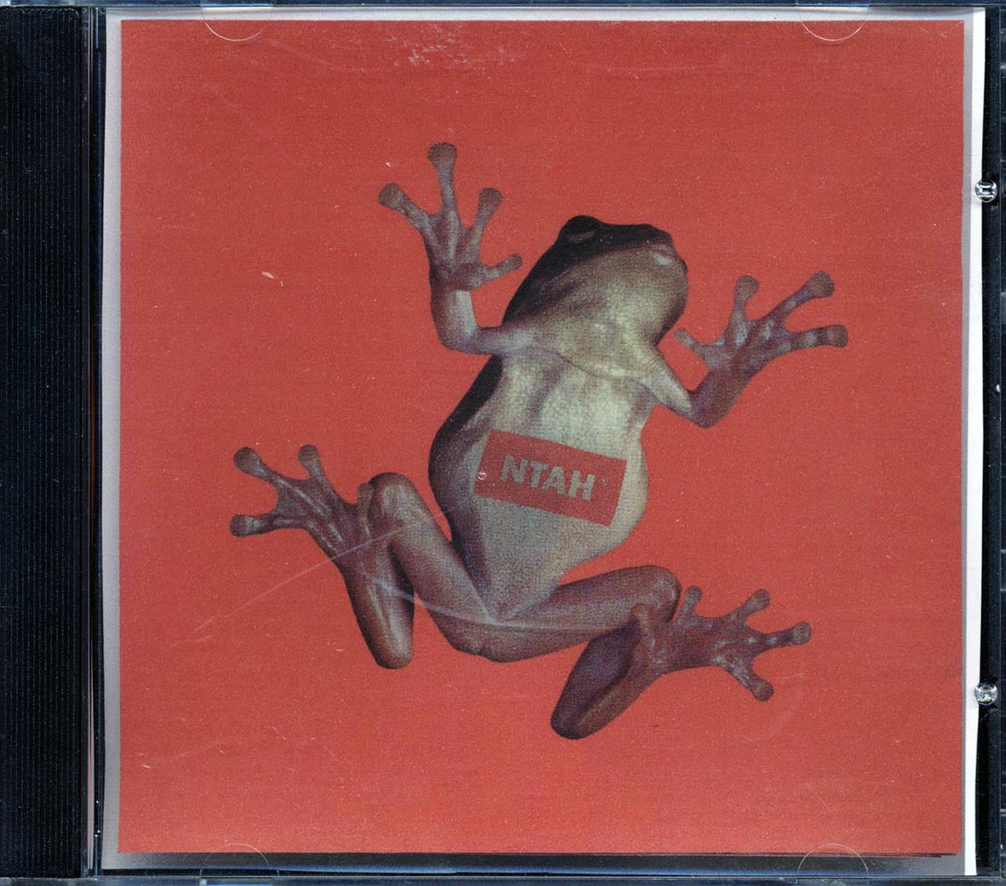 Adrian Sherwood - Never Trust A Hippy