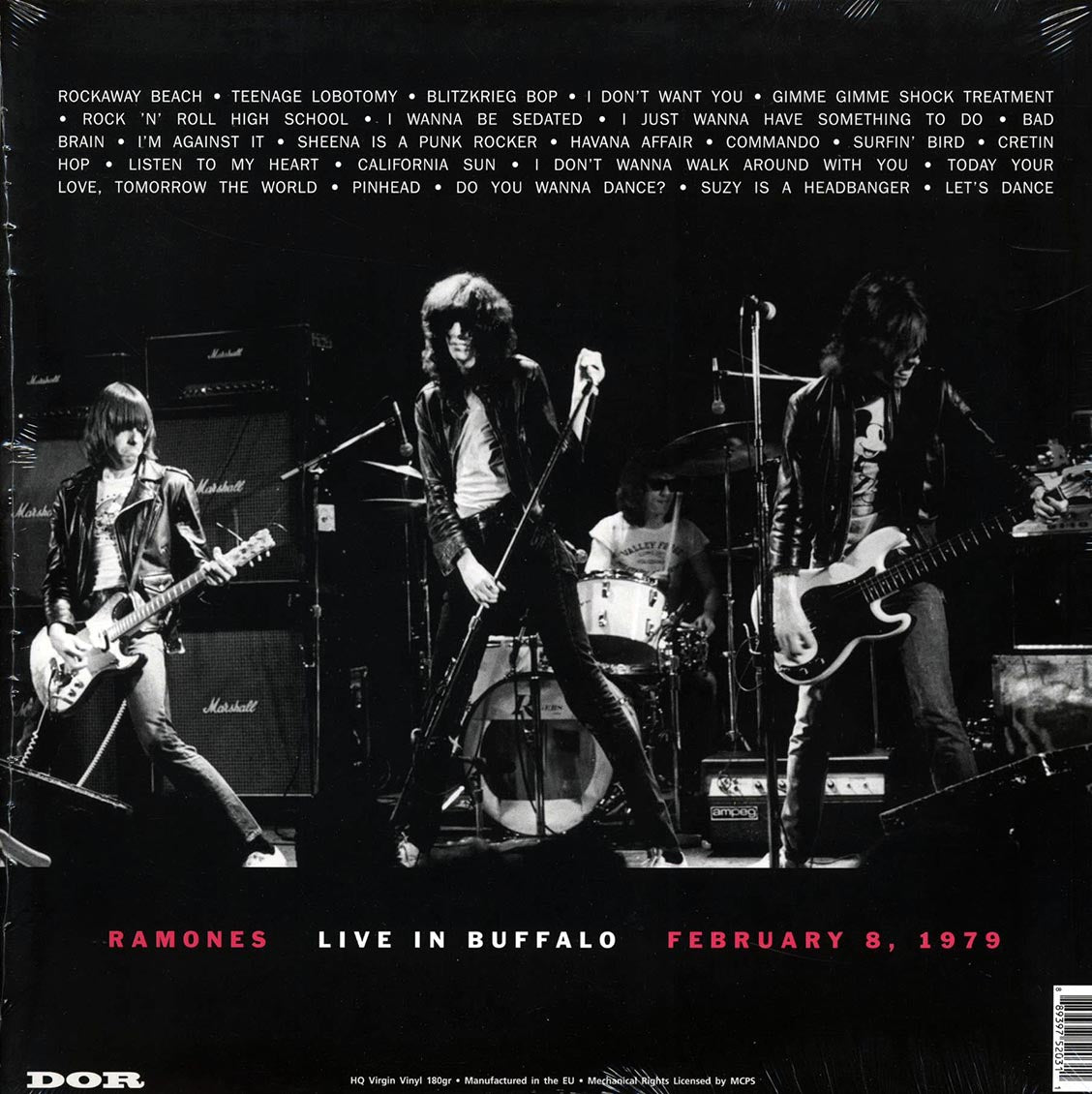 The Ramones - Live In Buffalo February 8, 1979 (ltd. ed.) (colored vinyl)