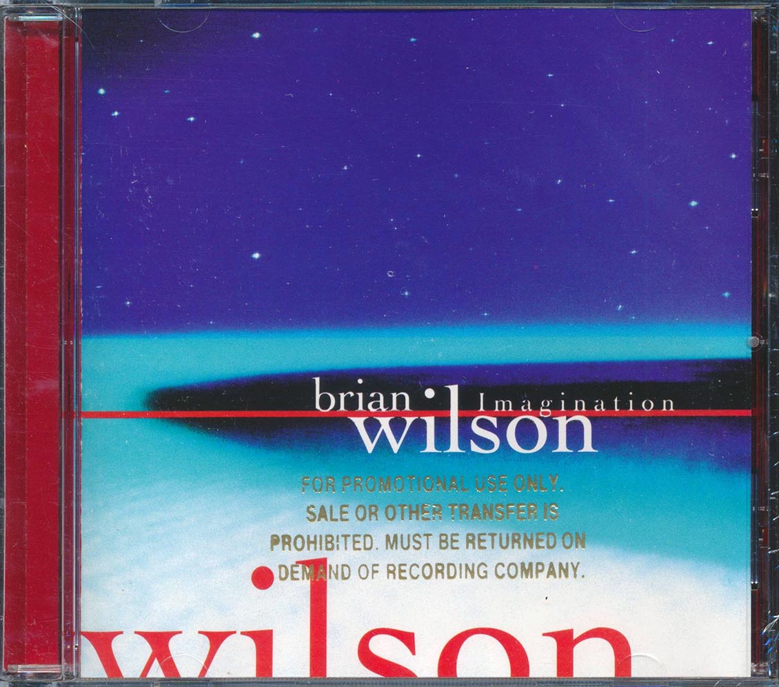 Brian Wilson - Imagination (promo)
